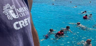 Medusa Cruises: 4-Hour Turtle Chill-Out Cruise / Lunch – Protaras