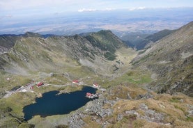 Excursion d’une journée sur la route Transfagarasan et à la forteresse Poienari au départ de Brașov