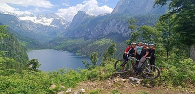 Salzkammergutの高山牧草地のガイド付きe-バイクツアー