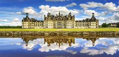 Excursion d'une journée dans les châteaux de la Loire au départ de Paris avec dégustation de vins