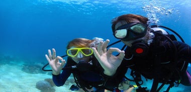 Buceo de día completo en Marmaris Dos inmersiones con almuerzo Recogida en el hotel