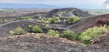 Tour per piccoli gruppi: vino dell'Etna e Alcantara con partenza da Taormina