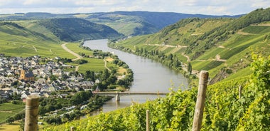 German Riverscapes from Passau to Trier (Passau - Trier)