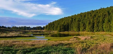 Full Day Lagoons and Volcanoes Tour in Terceira Island