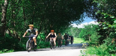 オルデンのガイド付き電動自転車ツアー