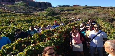 Recorrido gastronómico en Tenerife con visitas a dos bodegas y almuerzo de 4 platos