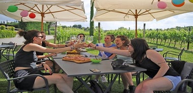 Degustación de vino y comida en los viñedos de Lazise