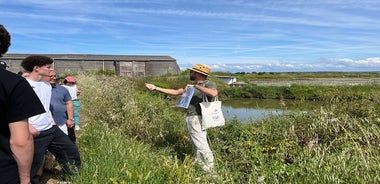 Visit to Saline - Guérande Salt Marshes