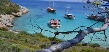 Full-Day Orak Island Boat Trip from Bodrum