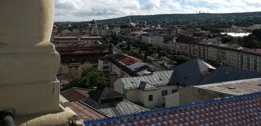 Tirgu Mures 공항 개인 교통편