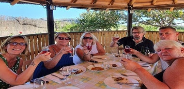 Dégustation privée de vins de Tenerife avec coucher de soleil et activité d'observation des étoiles