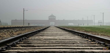 Krakow: Auschwitz-Birkenau Guided Tour & Introductory Video