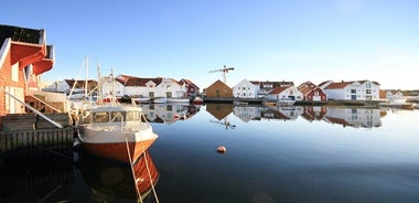 Punti salienti del tour guidato in autobus della regione di Haugesund