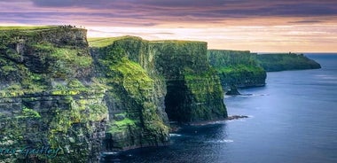 Tour dell'isola di Aran, delle scogliere di Moher e della crociera da Galway. Guidato.