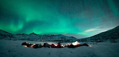 Lítil hópur Norðurljósferð frá Tromsø með faglegum myndum