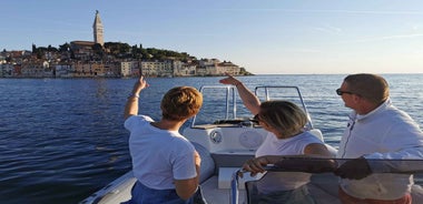 Rovinj: Sunset Speedboat Tour with Dolphin Watching