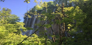 Plitvickin järvet lipulla ja Rastoke-pienryhmäkierros Zagrebista