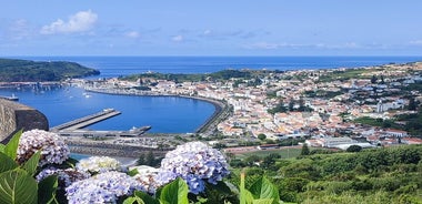 Tour privato di un'intera giornata - Isola di Faial