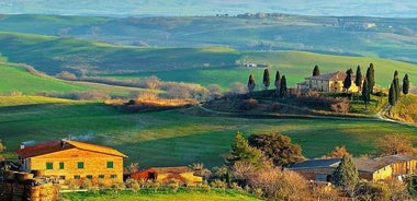 Degustazione di vini per piccoli gruppi nella campagna toscana