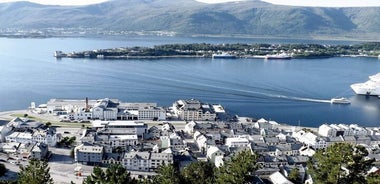 Alesund 항구, 공항 및 시내 개인 교통편