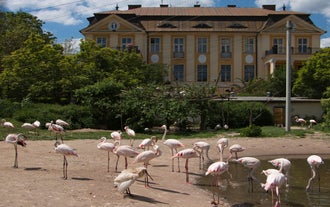 Dvůr Králové Zoo