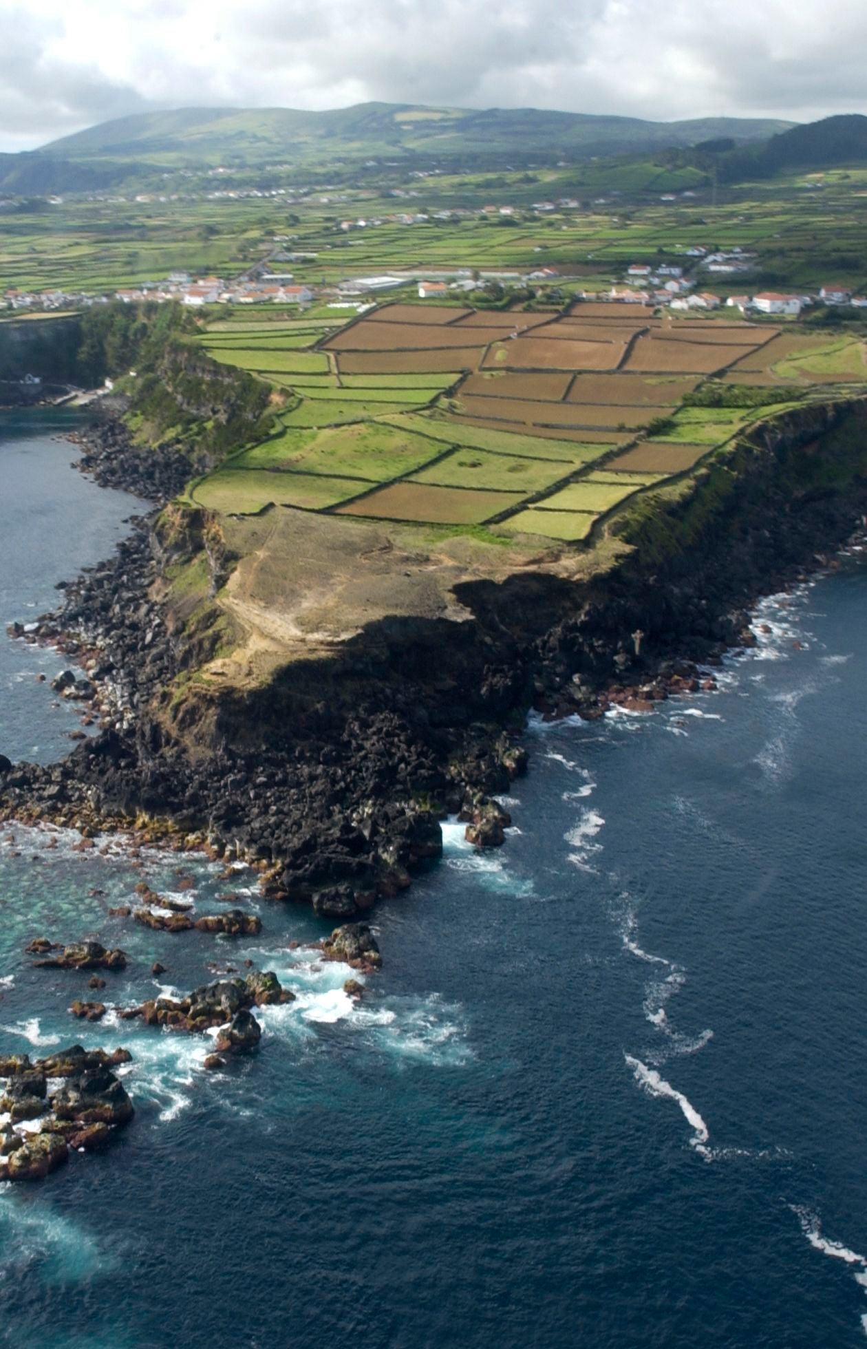 라제스 소형차 대여
