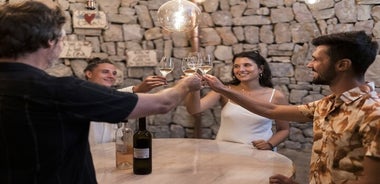 Tour privato del vino nella penisola di Saint-Tropez