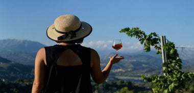 Tour dei vigneti con degustazione di vini all'interno dei confini della città di Nizza