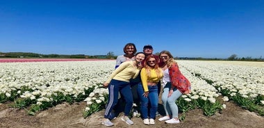 Excursion à vélo en petits groupes de tulipes et de champs de fleurs printanières