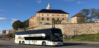 Tour de descubrimiento de Oslo