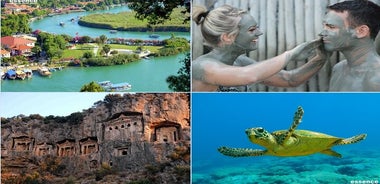 Tour privado: Dalyan Turtle Beach y baños de barro de Fethiye y Oludeniz