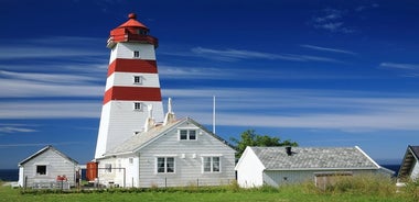 Alesund Shore Excursion: Hin fullkomna skoðunarferðin