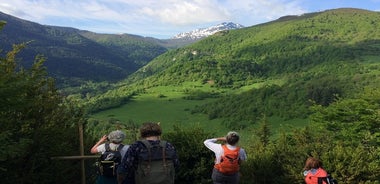 Excursión de un día a Mirepoix, Montségur, Camon. Tour privado desde Carcasona