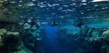 Snorkl í Silfra-sprungunni með skutli frá Reykjavík