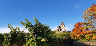 Tour ICONICS: 1/2 día en la Ruta del Vino, visita de 2 Pueblos + Cata.