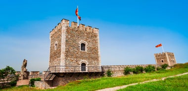 Panoramic view of Skopje town with Vodno hill in the background.