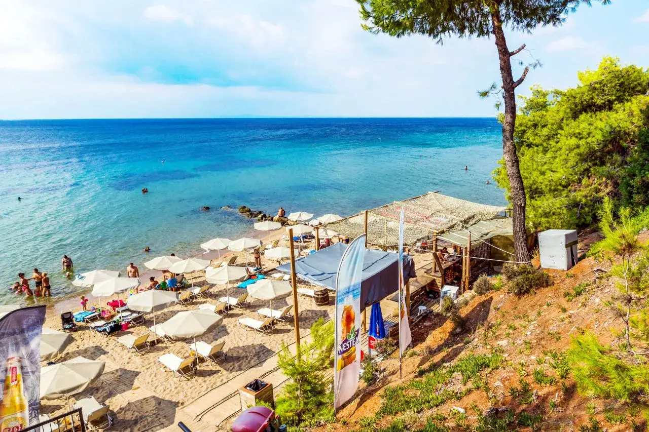 Metamorfosi minivan rental