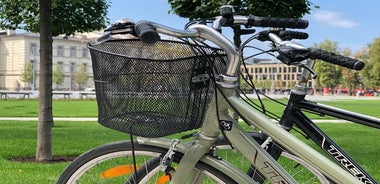 City Bike rent in Vilnius for 1 day