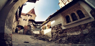 Bucharest: Dracula Castle, Peles Castle & Brasov Guided Tour