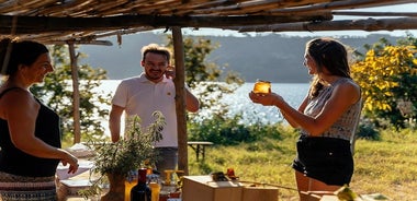 Balade panoramique à pédales à Naples dans un vignoble local avec repas