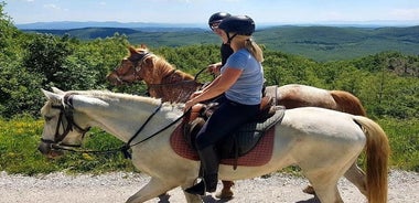 Half-Day Reiten in der Toskana für Anfänger