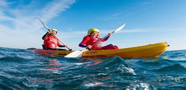 Sjókajakkennslustund og ferð í Newquay