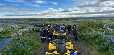 アイスランド北東の氷河川を下る 1 時間の ATV 四輪旅行