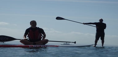 Stand Up Paddle á strönd Lissabon