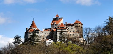 Castello di Bran e fortezza di Rasnov da Brasov con visita facoltativa al castello di Peles