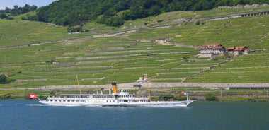 Lausanne: 2 klukkustunda sigling um Genfarvatn meðfram víngörðum Lavaux