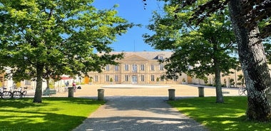 Small-Group Wine Tasting and Chateaux Tour in Medoc or St-Emilion from Bordeaux