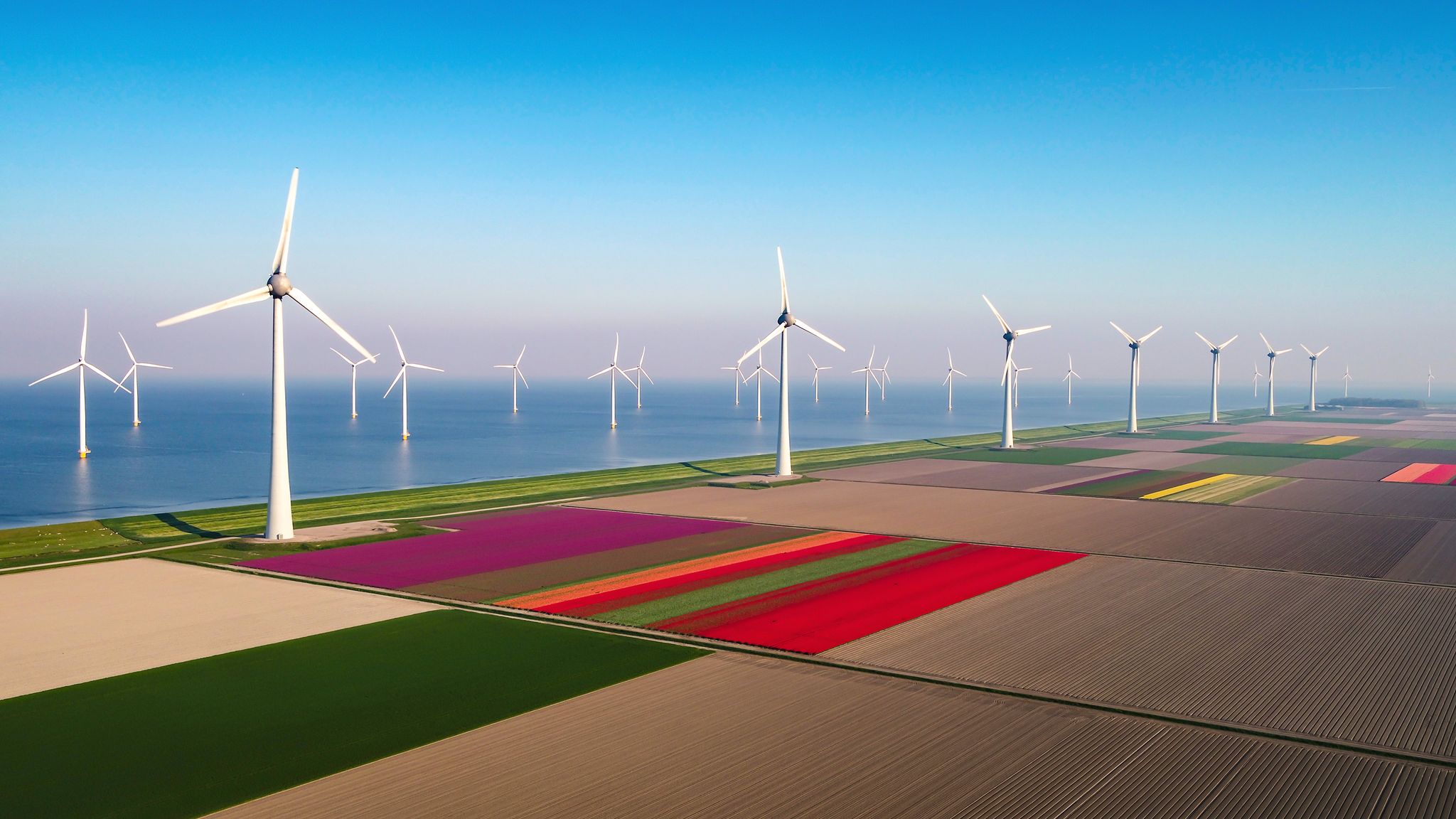 로젠부르흐 중형차 대여