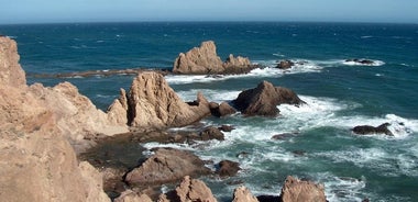 Excursion d'une journée complète au Parc Naturel Cabo de Gata