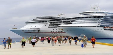 Traslado a los hoteles de Trieste, al puerto de Trieste o al aeropuerto Marco Polo.